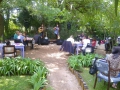 show