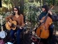 Live Various