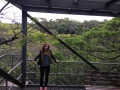 Eshowe forest 2